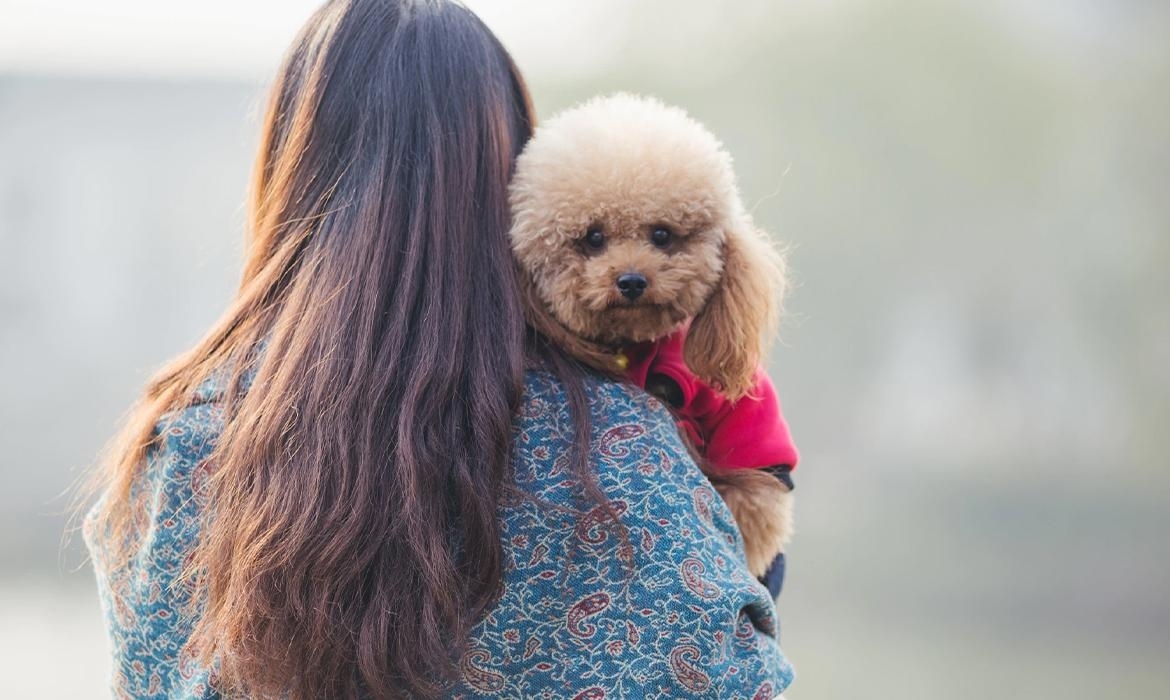 Come accogliere un nuovo cucciolo in casa