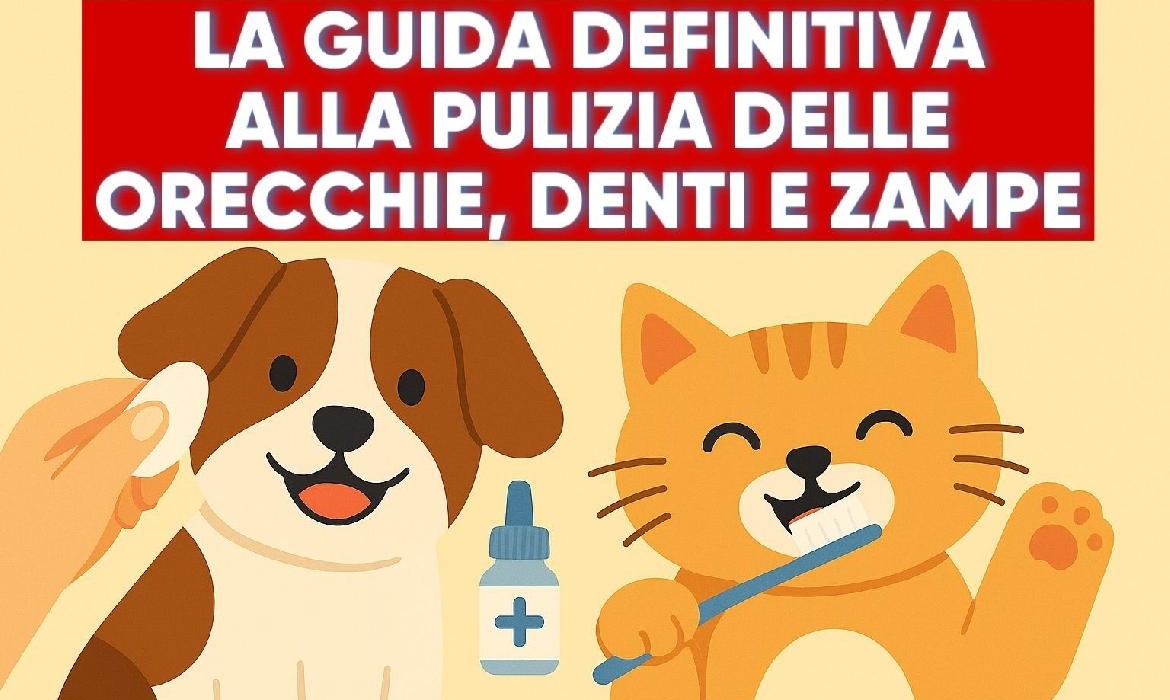 LA GUIDA DEFINITIVA ALLA PULIZIA DELLE ORECCHIE, DENTI E ZAMPE