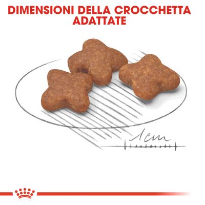 ROYAL CANIN MINI ADULT +8