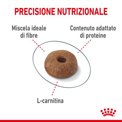 Royal canin cat 400g light weight care 