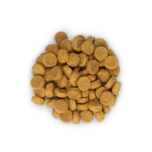 HILLS GATTO 1.5KG ADULT POLLO