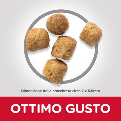 HILL S GATTO STERILISED SALMONE