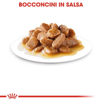 ROYAL CANIN BUSTINA 85G MINI AGEING 12