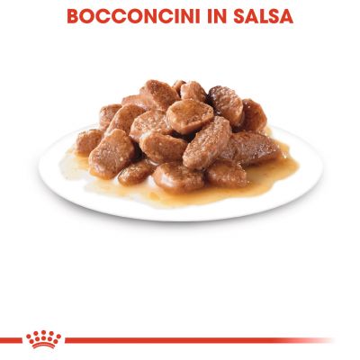 ROYAL CANIN CAT BUSTINA 85G JELLY HAIR SKIN