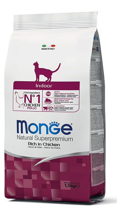 MONGE CAT INDOOR