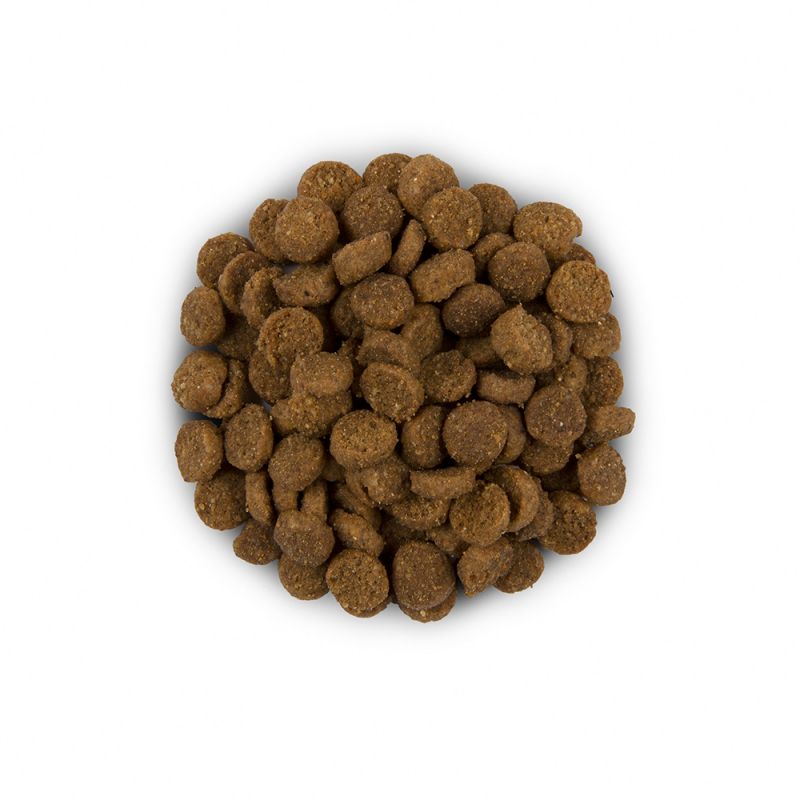 HILL S VET GATTO ID