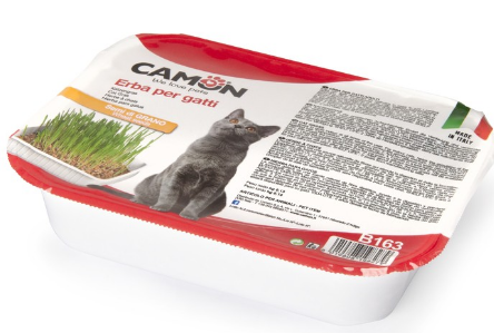 Camon erba gatto grano