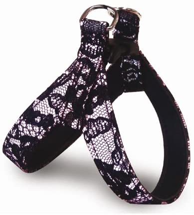 PETTORINA ELEGANT LACE ROSA