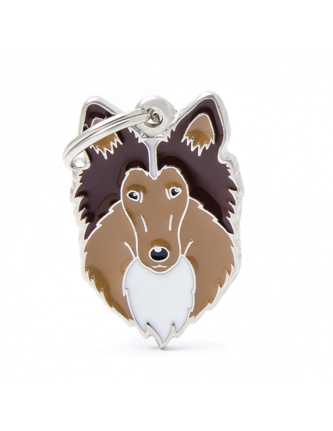 MY FAMILY MEDAGLIETTA FRIENDS COLLIE 