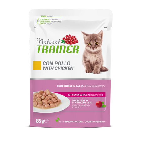 TRAINER CAT KITTEN POLLO