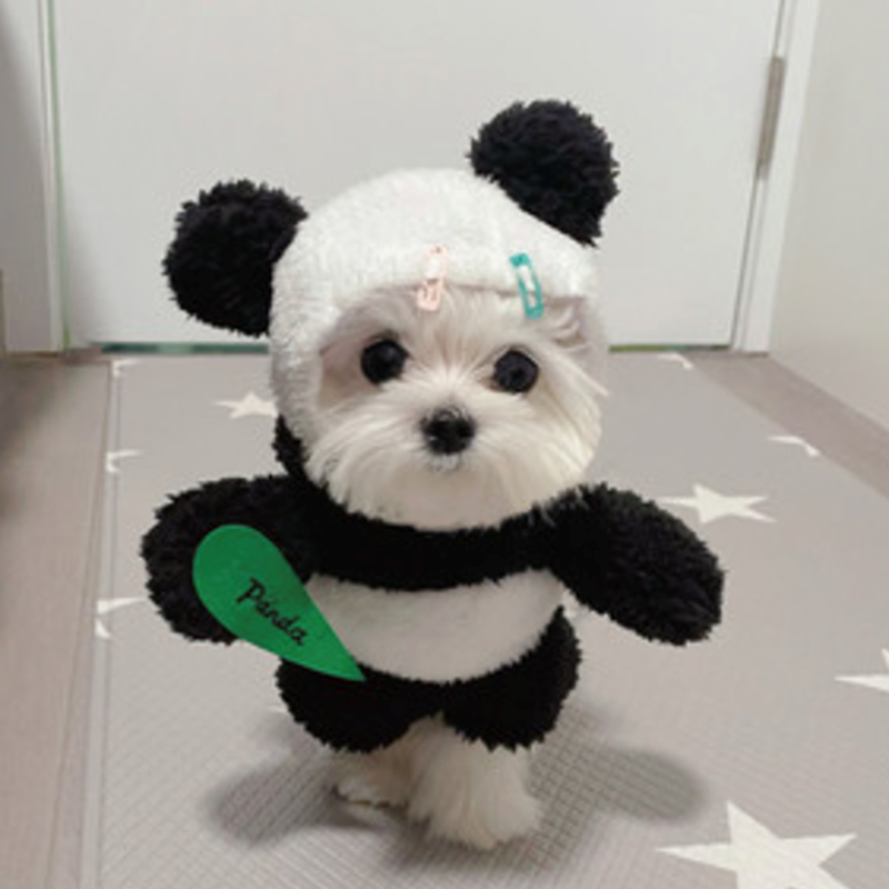 Dog&Cat Pet Dress Carnevale Panda