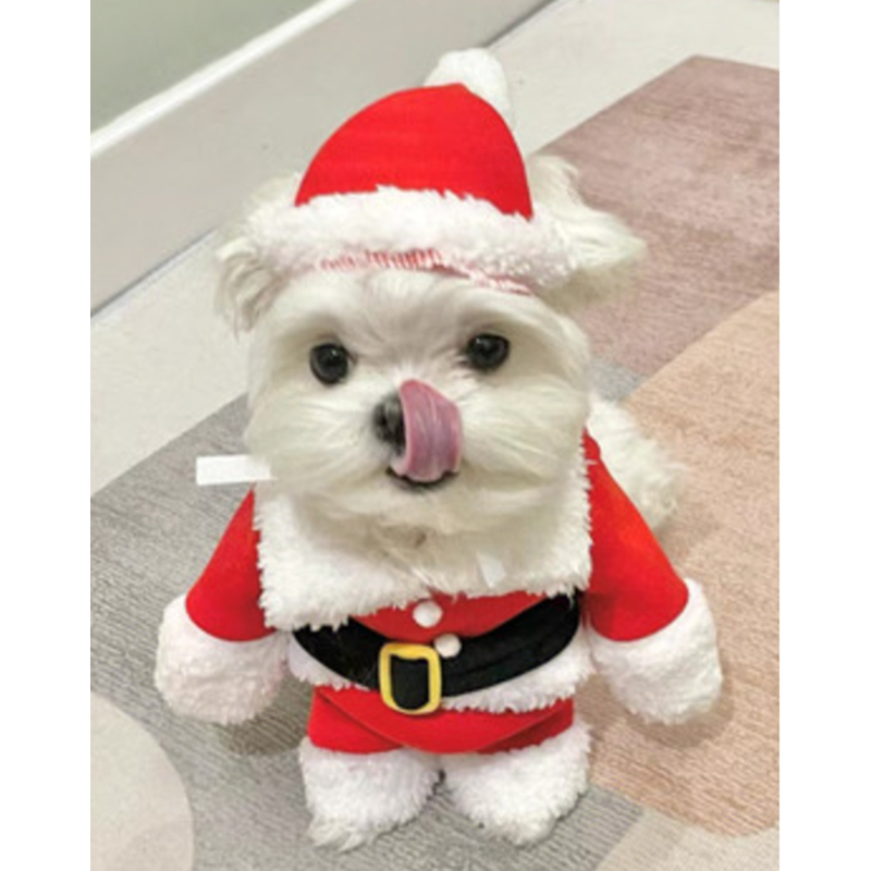Dog&Cat Pet Dress Babbo Natale