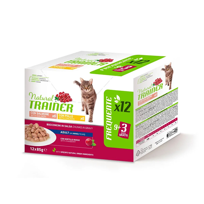 Trainer Cat Multipack 12X85G
