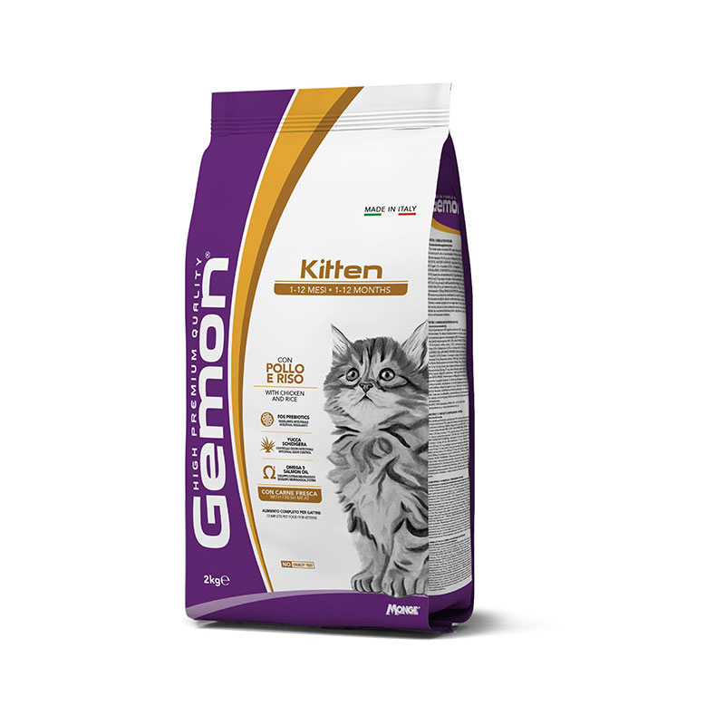 Gemon Cat Kitten Pollo