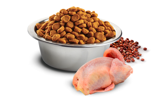 FARMINA CAT ND QUINOA WEIGHT AGNELLO