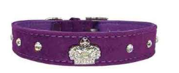 COLLARE RED CROWN