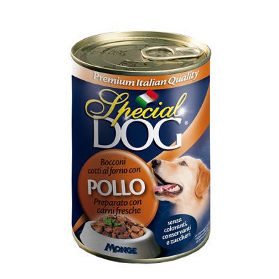 SPECIAL DOG LATTINA