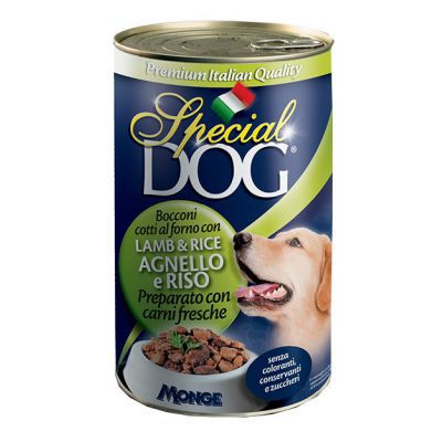 SPECIAL DOG LATTINA