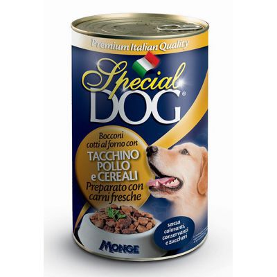 SPECIAL DOG LATTINA