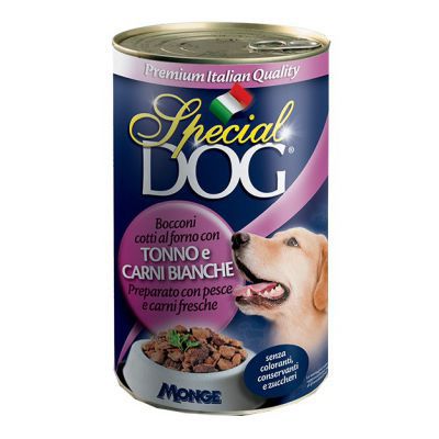 SPECIAL DOG LATTINA