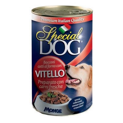 SPECIAL DOG LATTINA