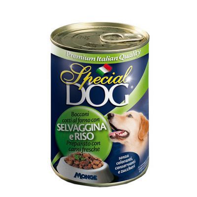 SPECIAL DOG LATTINA