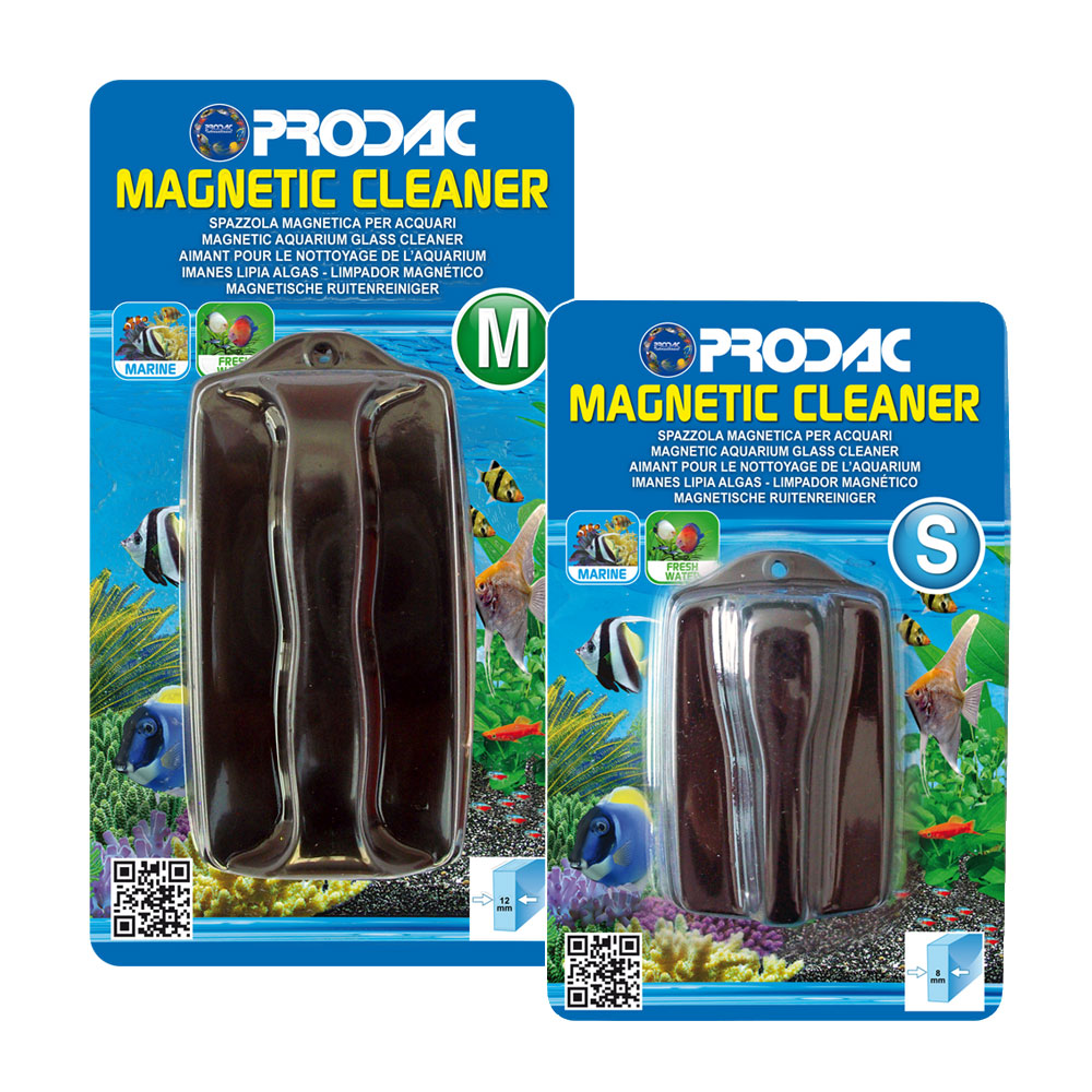 SPAZZOLA MAGNETICA